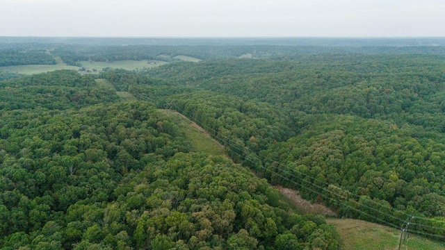 0000 Low Gap Rd, Noel, MO 64854