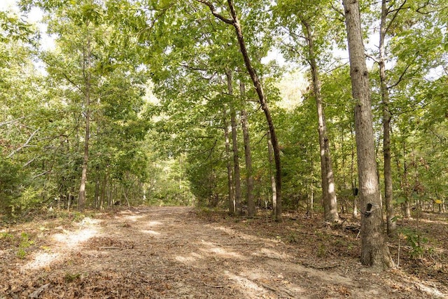 0000 Low Gap Rd, Noel, MO 64854