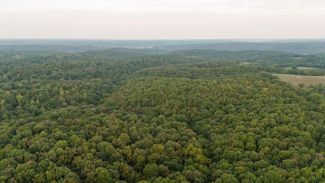 0000 Low Gap Rd, Noel, MO 64854