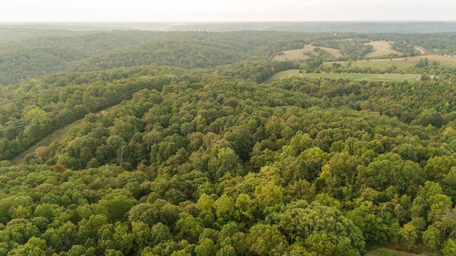 0000 Low Gap Rd, Noel, MO 64854