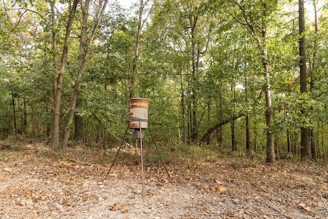 0000 Low Gap Rd, Noel, MO 64854