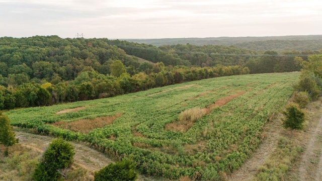 0000 Low Gap Rd, Noel, MO 64854