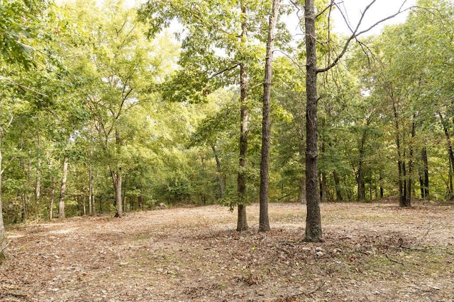 0000 Low Gap Rd, Noel, MO 64854