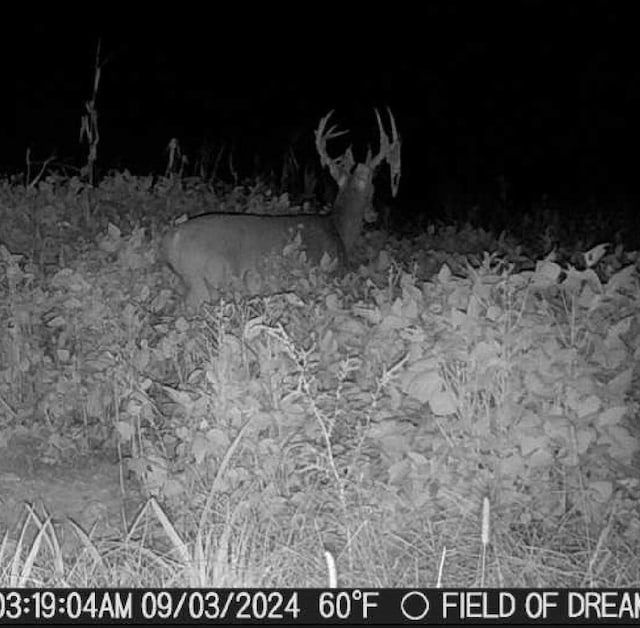 0000 Low Gap Rd, Noel, MO 64854