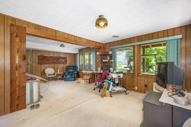 26307 Twin Rivers Dr, Shell Knob, MO 65747 - carpeted living room with wood walls and a textured ceiling