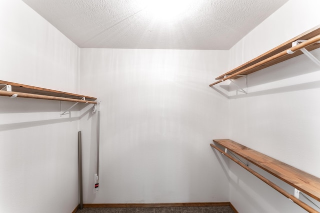 29474 Farm Rd Unit 1260, Golden, MO 65658 - walk in closet with carpet flooring