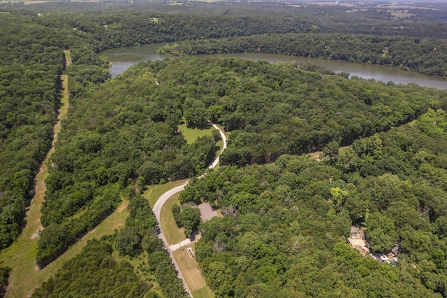 29474 Farm Rd Unit 1260, Golden, MO 65658 - aerial view of property's location featuring a nearby body of water and a heavily wooded area