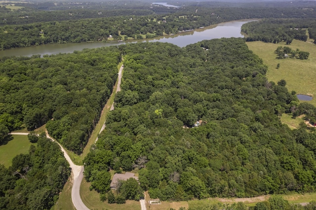 29474 Farm Rd Unit 1260, Golden, MO 65658 - bird's eye view of a large body of water and a forest