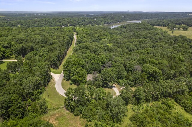 29474 Farm Rd Unit 1260, Golden, MO 65658 - bird's eye view of a heavily wooded area and a large body of water