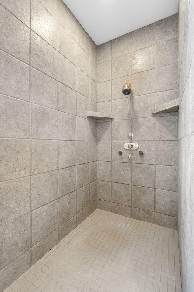 4156 E Division St, Springfield, MO 65802 - full bath featuring a tile shower