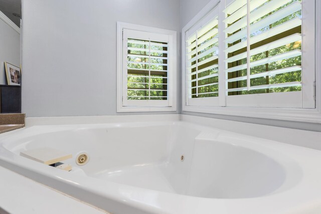 2504 W Fox Fire Ct, Nixa, MO 65714 - bathroom featuring a tub with jets