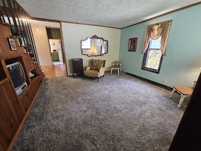 312 W Locust St, Aurora, MO 65605 - sitting room with ornamental molding, a textured ceiling, and carpet flooring