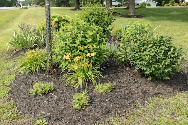 249 State Highway 73, Macks Creek, MO 65786 - view of green lawn