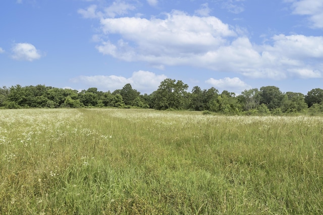 249 State Highway 73, Macks Creek, MO 65786 - view of nature