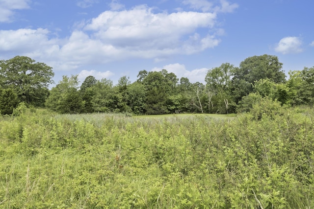 249 State Highway 73, Macks Creek, MO 65786 - view of tree filled area
