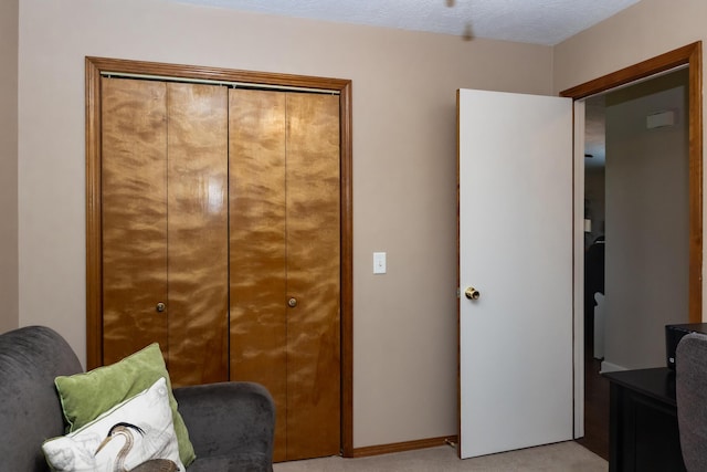 249 State Highway 73, Macks Creek, MO 65786 - sitting room with light colored carpet and baseboards