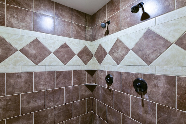 18054 State Highway 39, Aurora, MO 65605 - full bath with tiled shower