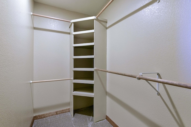 18054 State Highway 39, Aurora, MO 65605 - walk in closet with carpet flooring