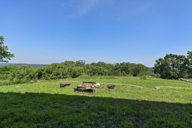 18054 State Highway 39, Aurora, MO 65605 - view of yard