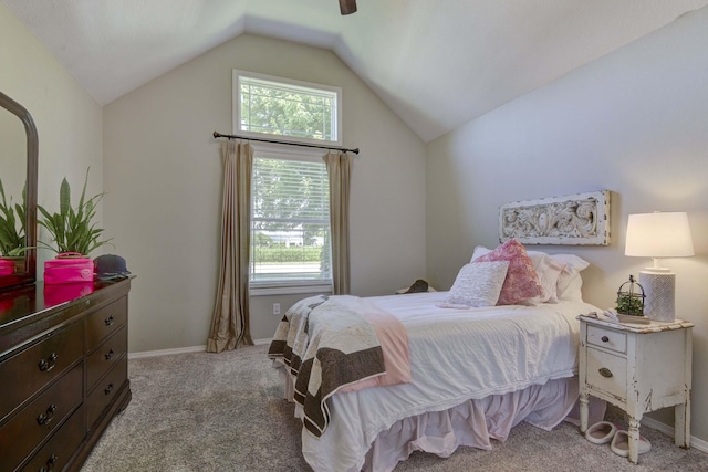 105 Deer Run, Willard, MO 65781 - bedroom featuring carpet floors, multiple windows, and vaulted ceiling