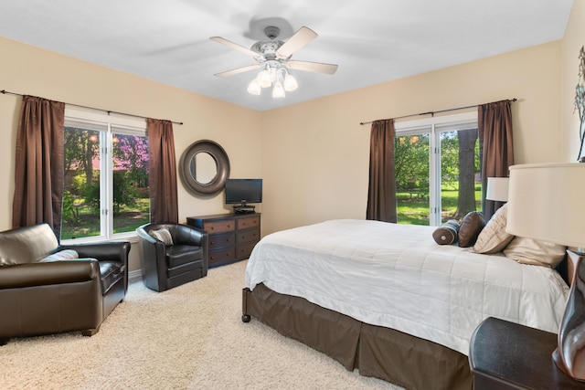 3702 E Dartmoor Ct, Springfield, MO 65802 - bedroom with carpet floors, multiple windows, and a ceiling fan