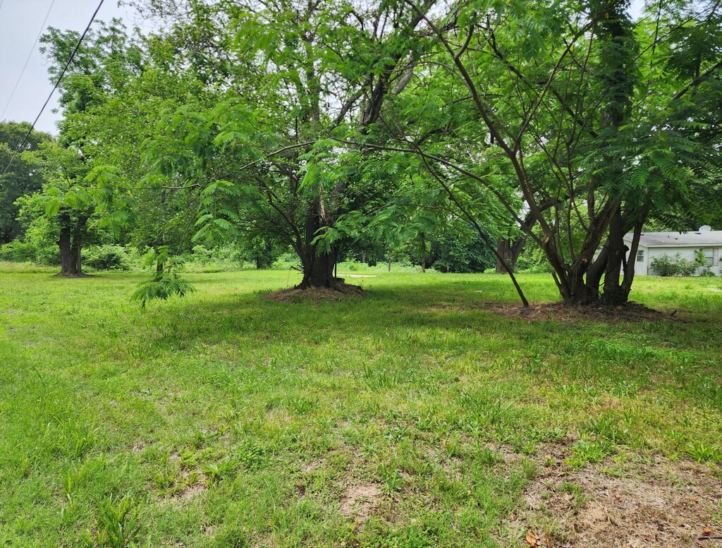 000TRACT 1 County Road 186, Carthage, MO 64836 - photo 1