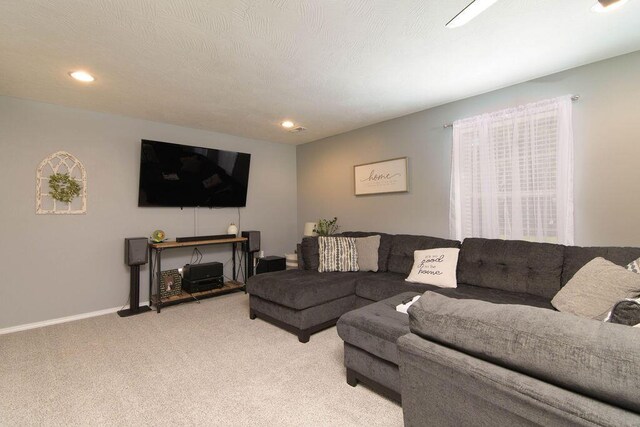 1001 W Bates Dr, Nixa, MO 65714 - photo 20