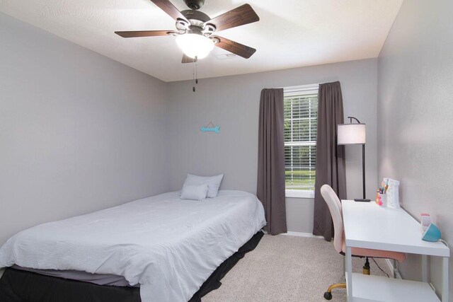 1001 W Bates Dr, Nixa, MO 65714 - photo 23