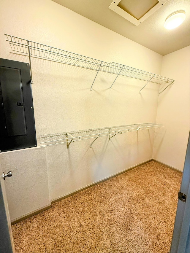 48 Galatians Ln, Reeds Spring, MO 65737 - spacious closet featuring electric panel, carpet, and attic access