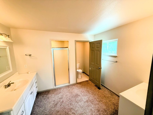 48 Galatians Ln, Reeds Spring, MO 65737 - bathroom with vanity, a shower stall, carpet, and a textured ceiling