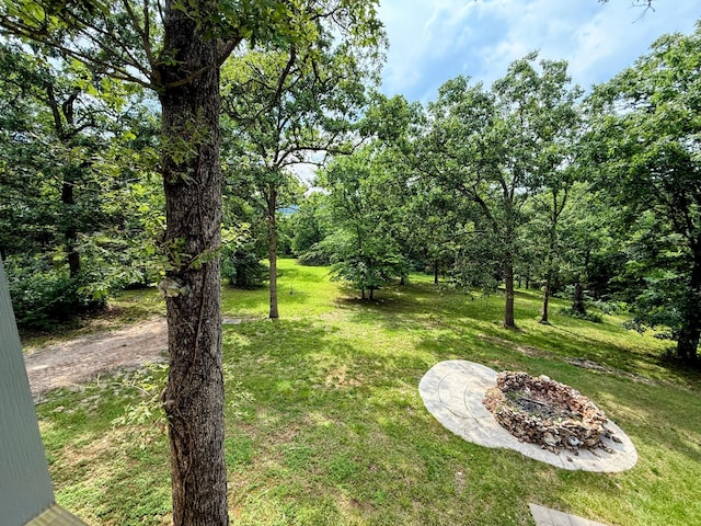 48 Galatians Ln, Reeds Spring, MO 65737 - view of green lawn