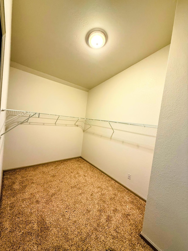 48 Galatians Ln, Reeds Spring, MO 65737 - spacious closet with carpet floors