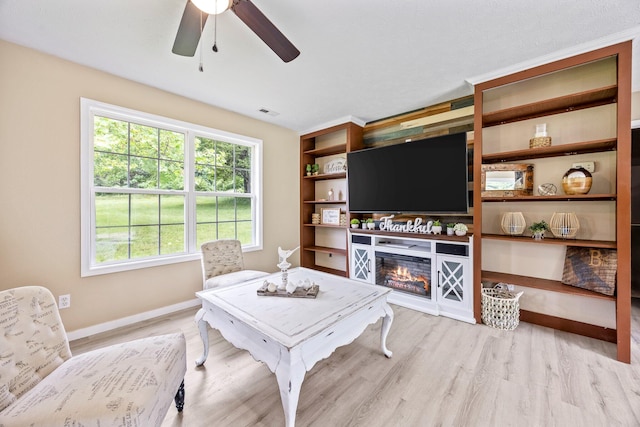 3936 S 77th Rd, Dunnegan, MO 65640 - living room with a ceiling fan, light wood-style floors, and a glass covered fireplace