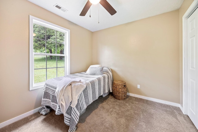 3936 S 77th Rd, Dunnegan, MO 65640 - bedroom with multiple windows, carpet flooring, and ceiling fan