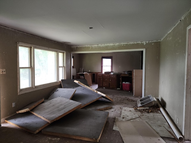 7925 County Lane 186, Carthage, MO 64836 - photo 8