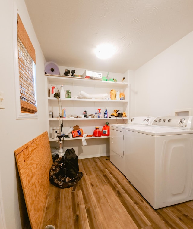 1305 N Main Ave, Springfield, MO 65802 - laundry area featuring washing machine and dryer and light wood finished floors