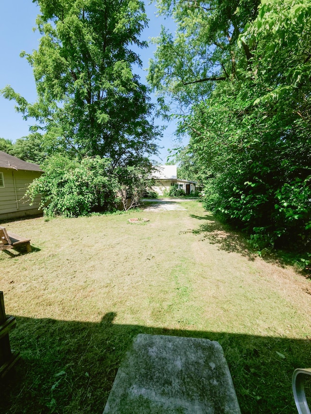 1305 N Main Ave, Springfield, MO 65802 - view of green lawn