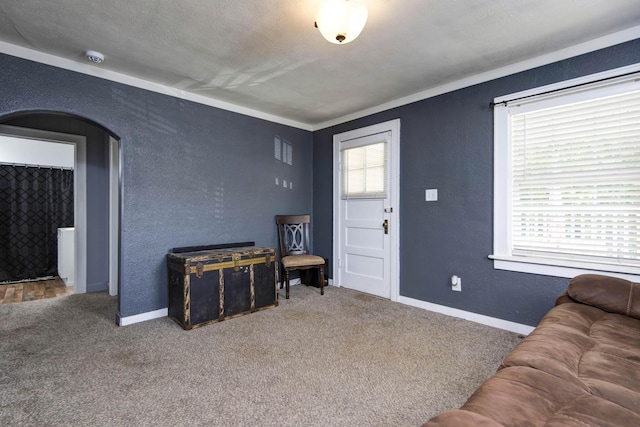 2718 E Blaine St, Springfield, MO 65803 - carpeted living room with a textured wall and arched walkways