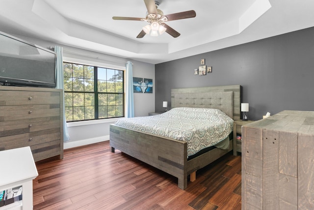 241 Sage Rd, Ozark, MO 65721 - bedroom with a tray ceiling, wood finished floors, and a ceiling fan