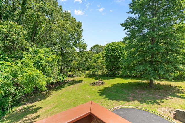 241 Sage Rd, Ozark, MO 65721 - view of green lawn