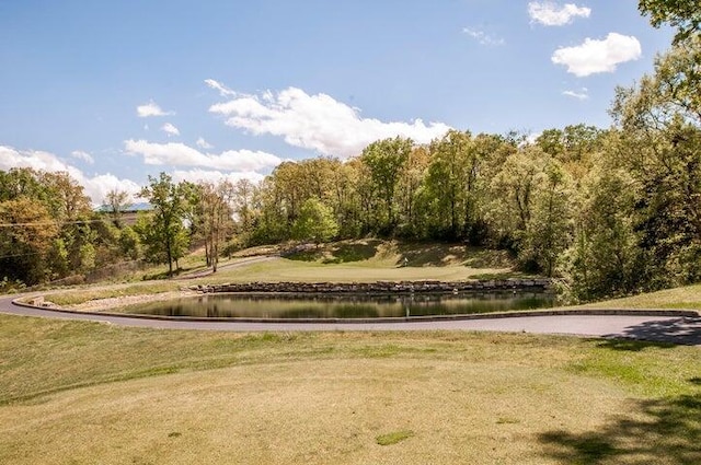 200 Glory Rd Unit B6, Branson, MO 65616 - view of community featuring a water view