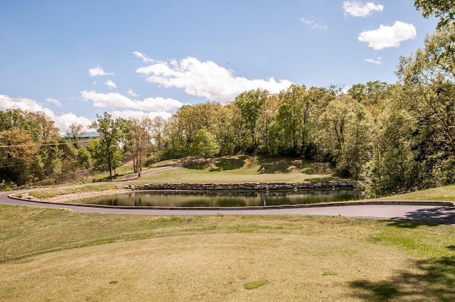 200 Glory Rd Unit B6, Branson, MO 65616 - view of home's community with a water view and a lawn