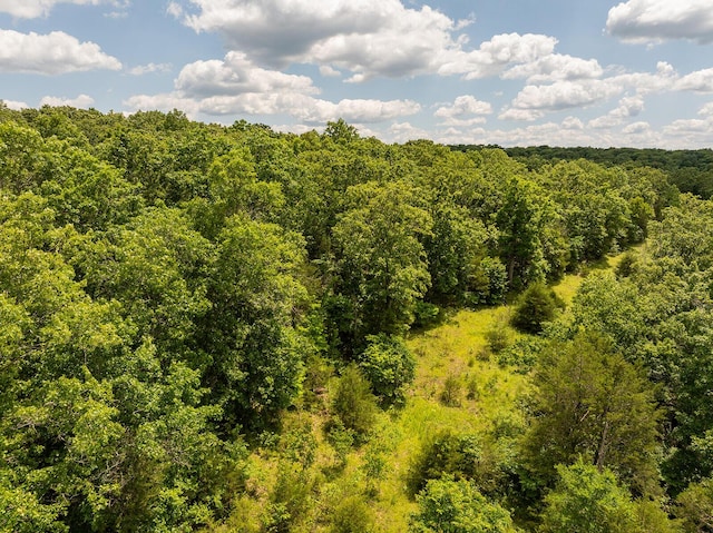 000 Brass Lantern Rd, Cedarcreek, MO 65627