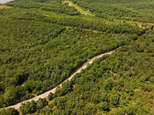 000 Brass Lantern Rd, Cedarcreek, MO 65627