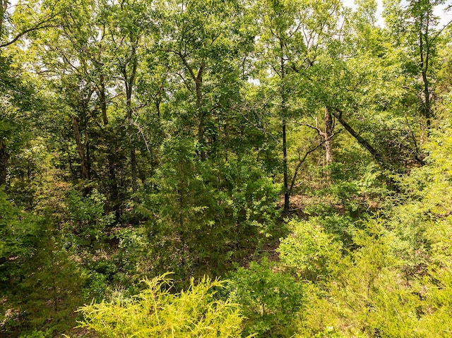 000 Brass Lantern Rd, Cedarcreek, MO 65627