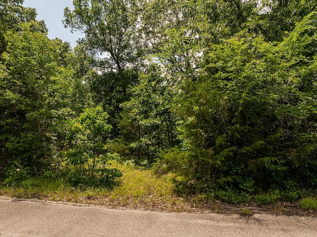 000 Brass Lantern Rd, Cedarcreek, MO 65627