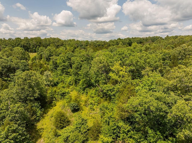 000 Brass Lantern Rd, Cedarcreek, MO 65627