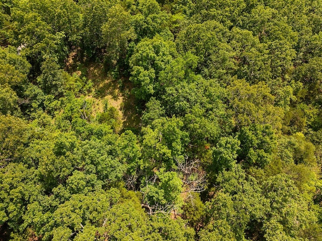000 Brass Lantern Rd, Cedarcreek, MO 65627