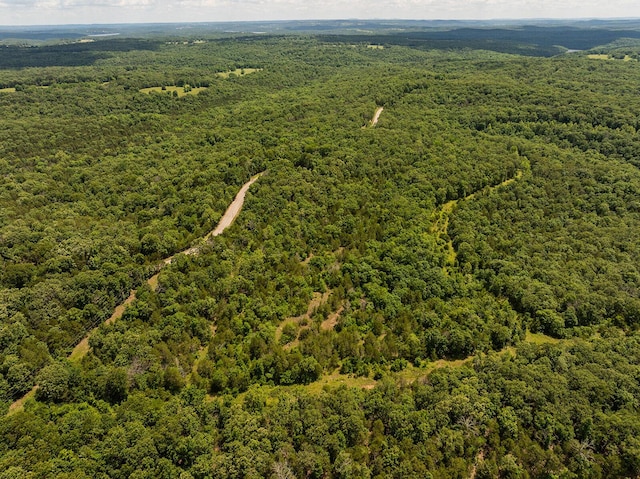 000 Brass Lantern Rd, Cedarcreek, MO 65627
