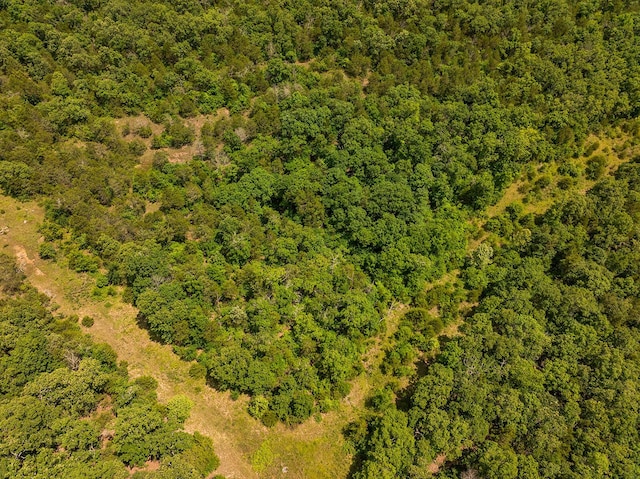 000 Brass Lantern Rd, Cedarcreek, MO 65627